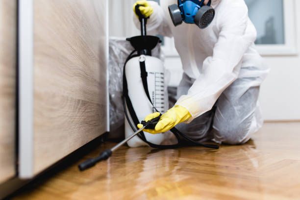 Best Cockroach Control Services  in Madisonville, KY