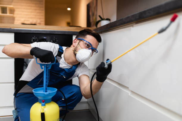 Best Flea Control Services  in Madisonville, KY