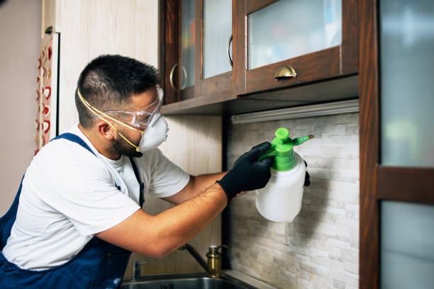 Best Pest Inspection Near Me  in Madisonville, KY