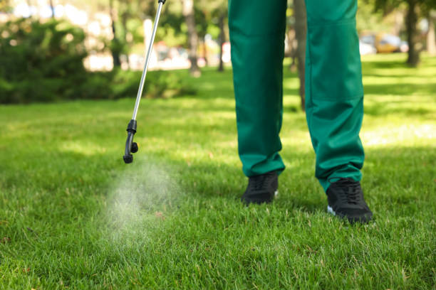 Best Best Pest Control Companies  in Madisonville, KY