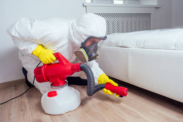 Professional Pest Control in Madisonville, KY