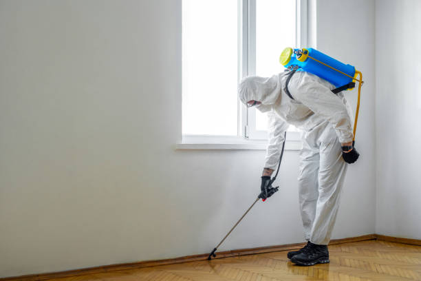 Best Rat Extermination Near Me  in Madisonville, KY