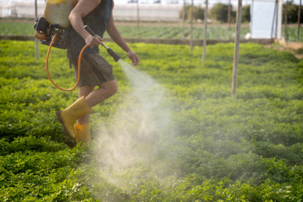 Best Pest Control Cost  in Madisonville, KY