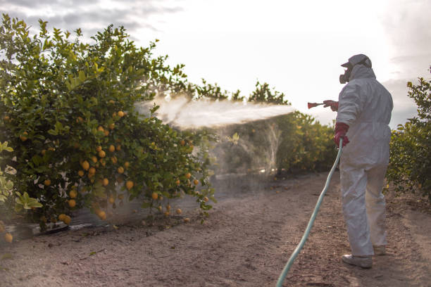 Best Best Pest Control Companies  in Madisonville, KY