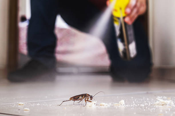 Best Mosquito Control Services  in Madisonville, KY