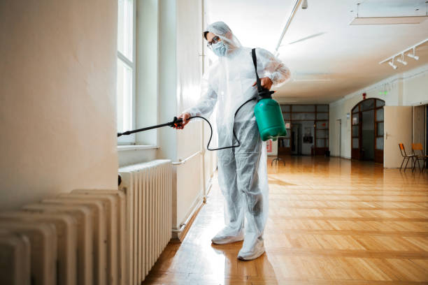 Best Local Pest Control Services  in Madisonville, KY