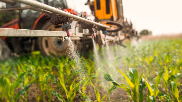 Best Pest Control Cost  in Madisonville, KY