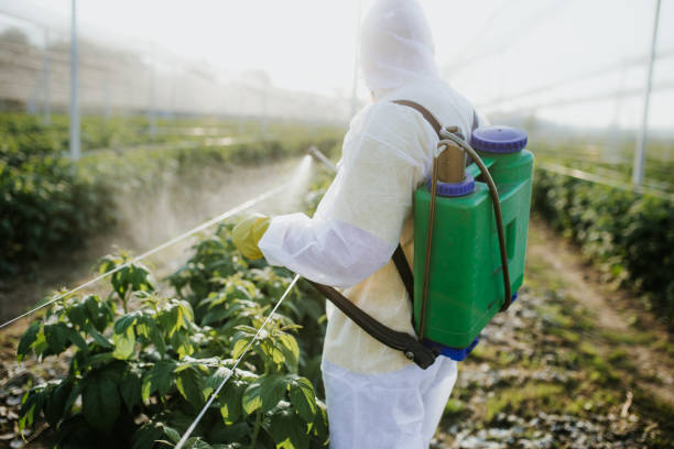 Best Best Pest Control Companies  in Madisonville, KY